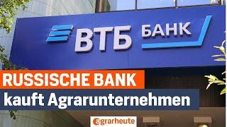 Russland: VTB-Bank kauft gigantischen Agrarbetrieb