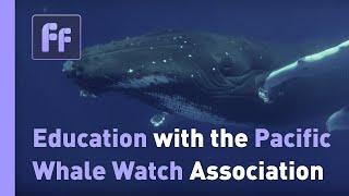 FF CONSERVATION IN ACTION | WHALE CONSERVATION