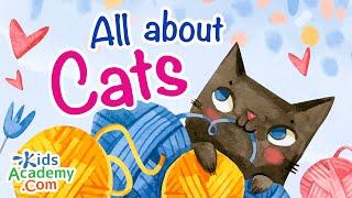 All About Cats: Fun Facts and Cat Habits! Kids Academy