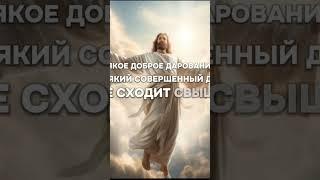 Господи, сегодня моё сердце не ищет слов просьбы  оно переполнено памятью о Твоей любви.  #молитва