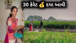 35 carat / Daya Aavi || farmerlife ||