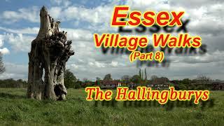 Essex Village Walks (Part 8): The Hallingburys