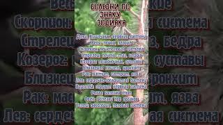 Хронические болезни по знаку зодиака  slx123  #astrology #гороскоп #знакизодиака