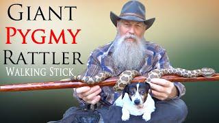 Carving a Massasauga Rattlesnake Walking Stick
