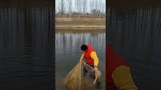 Satisfying Cast Net Fishing Video Catch Tons of Fish   Traditional Net Catch Fishing on River 3