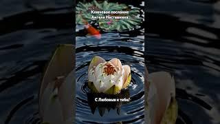 Ключевое послание Ангела Наставника #посланиеангелов #любовьбезусловная #высокие_вибрации