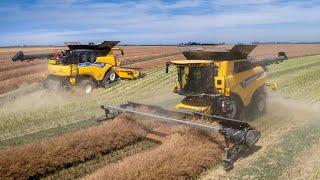 Harvesting Canola - 3 New Holland 10.90 Combines | Fairfield Farms