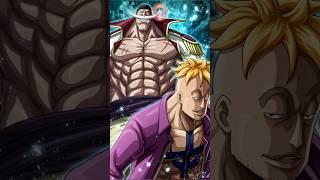 Who is respect the most of whitebeard#onepiece #luffy #whitebeard