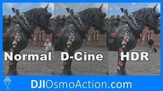 DJI Osmo Action HDR vs D-Cinelike vs Normal - Gamma Response & Dynamic Range Test