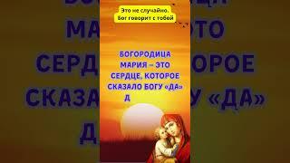 Это не случайно. Бог говорит  #словобожье #молитва #вера #библия #силамолитвы #иисусхристос