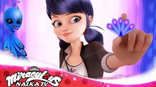 New Transformation MIRACULOUS | SEASON 6 |Mayura, Hawk Moth Ladybug and Cat Noir (fanmade)