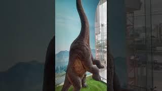 Brachiosaurus #brachiosaurus #dinosaur #dinosaur #jurassicworldevolution2