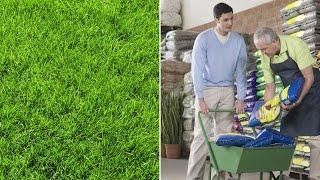 The Grumpy Gardener's Guide to Awesome Lawn Care