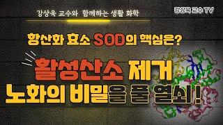 활성산소 제거(노화의 비밀을 풀 열쇠) 1부