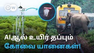 "இனி ஒரு யானைகூட சாவ விடமாட்டோம்” - Railway Crossingஇல் காப்பானாக மாறிய Kovai பழங்குடியின இளைஞர்கள்