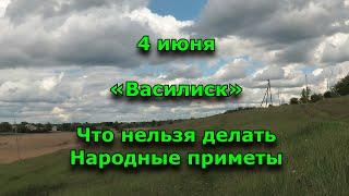 Василиск. 4 июня. Что нельзя делать. Народные приметы.