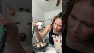 Let’s make my dog pancakes! #dog #dogshorts #dogmom #doglover #pets #dogowner #food #dogfood