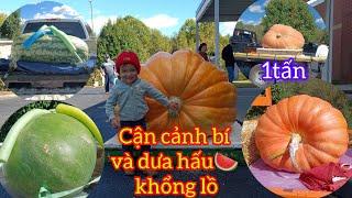 VỢ VIỆT CHỒNG AMISH BÁN KHÔNG KỊP Ở HỘI CHỢ BÍ ĐỎ|CẬN CẢNH BÍ ĐỎ KHỔNG LỒ VÀ DƯA HẤU  KHỔNG LỒ Ở MỸ