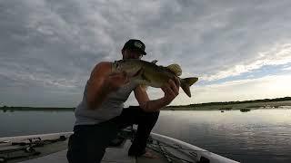 Johns lake bass fishing