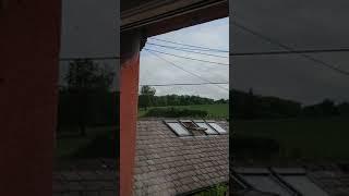 Housemartin hovering in slow motion.