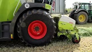 Claas Jaguar 960 mit 2 JohnDeere Gespanne im Grünroggen.