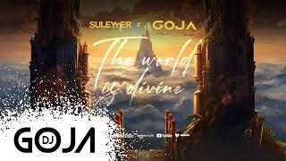 Suleymer x Dj Goja - The World Is Divine (Official Single)