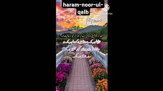 haram-noor-ul-qalb#islamicvideos