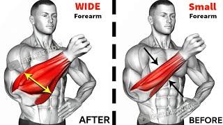 6 Best Wide Veins Forearm Workout | Get Fit Now