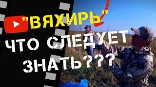 Что следует знать при охоте на Вяхиря | Охота на Вяхиря