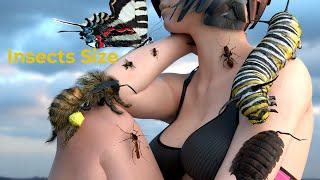 Insects Size Comparison in Human Body | #compariosn