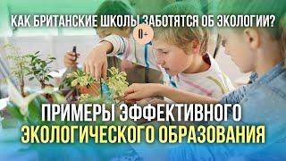 Ферма в школе / Экологическое образование детей в школах Англии / Школьные фермы за рубежом