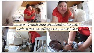 Luca ist Krank! || Eine "bescheidene" Nacht? || Vlog! ||Reborn Baby Deutsch || Little Reborn Nursery