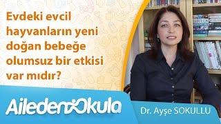 Evdeki evcil hayvanların yeni doğan bebeğe olumsuz bir etkisi var mıdır?