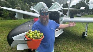 You won't believe how I got these KEY LIMES! | Shrimp Ceviche and Key Lime Pie Recipe