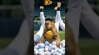 Copybara belly Rubbing - At the Baseball Stadium #capybara #cute #funny #animals #カピバラさん #카피바라