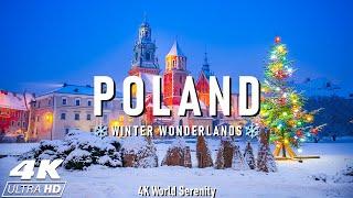 Winter in Poland 4K - Snowy Villages, Frozen Lakes, and Alpine Charm, Winter Magic, Relaxing Music