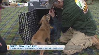 Licking County dog expert offers crate training tips