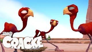 CRACKE - BIRD FIGHT | Cartoon Animation | Compilation