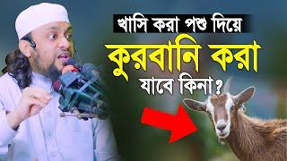 খাসি করা পশু দিয়ে কুরবানি করা যাবে কিনা ? অনেকেই যানে না | Abdul Hi Muhammad Saifullah