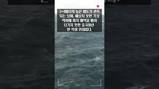 #골라듄다큐 #021 #이어도연구회 #이어도해양과학기지 #제주도 #해양 #shorts #ocean #sea #jeju #ieodo #ebs #제주 #해양문화 #신의한수 #이어도설화