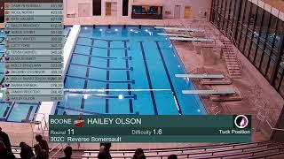 Girls Regional Diving