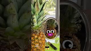 Cute Life Doodles | Pineapple, mirror #doodles #animation #cartoon #funny #comedy