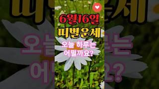 6월 16일 띠별운세  #하루1분꿀팁 #오늘의운세 #무료운세