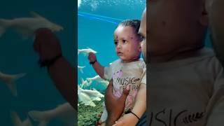 Boy enjoying at Fish aquarium |mahaansh #shorts #youtubeshorts