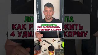 Правильное расположение удилищ при ловли карпа #карпфишинг