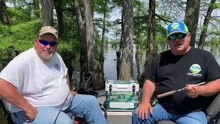 Reelfoot Lake Crappie and Bluegill