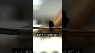 상온 초전도체 LK-99의 진실