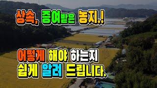 상속, 증여받은 농지 어떻게 해야 하는지 쉽게 알려드립니다. 벌금 피하는 실전 노하우!