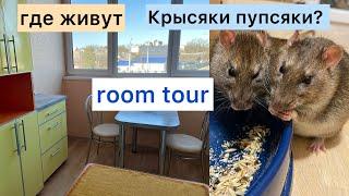 Где живут Крысяки пупсяки? Рум тур. Room tour