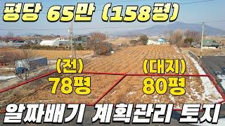[743] 계획관리지역 대지80평,전78평 평당65만원 #강화도부동산 #강화도토지 #체류형쉼터